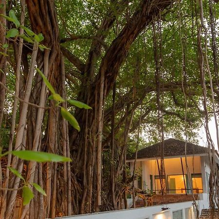 White Banyan Beach Villa, Candolim By The Acacia Villas Exterior photo